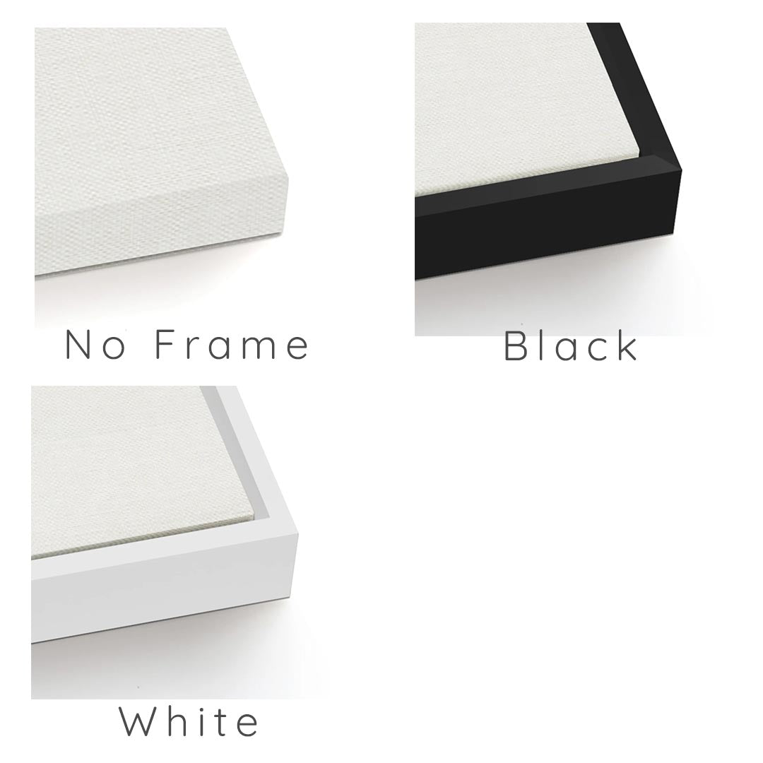 framing options image