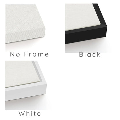 framing options image